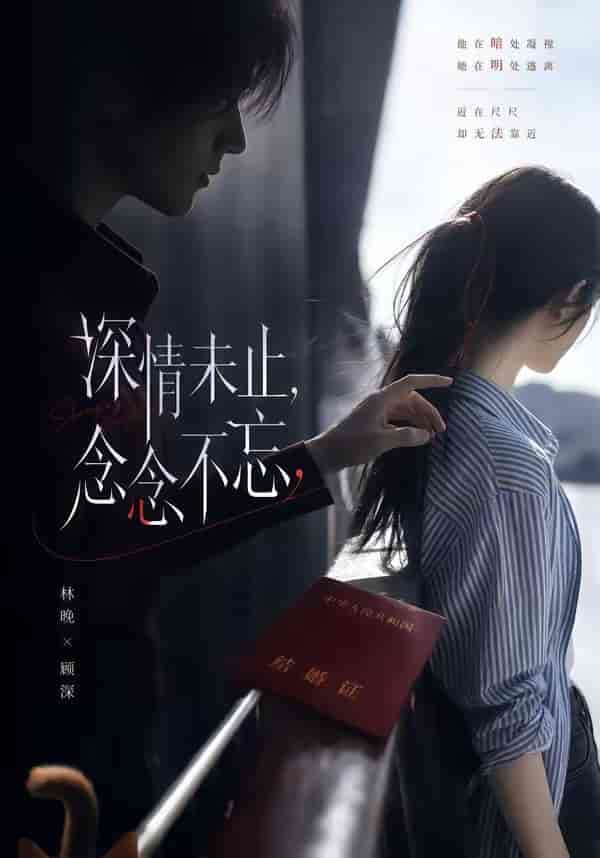 《深情未止，念念不忘（83集）（百度网盘）》短剧封面