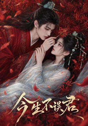 今生不误君（106集）（夸克网盘）封面