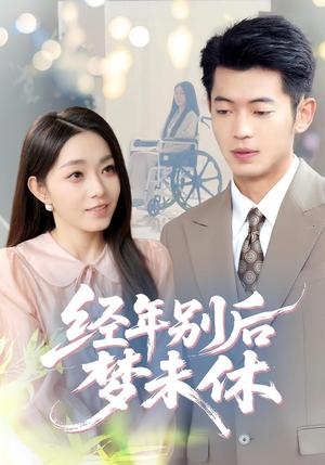 经年别后梦未休（85集）李泉成&李冰冰封面图 - 年代短剧