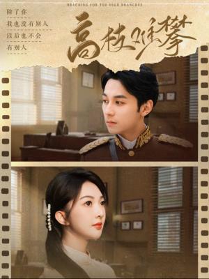 高枝难攀（80集）张屹杨＆丁果（夸克网盘）封面图 - 爱情短剧