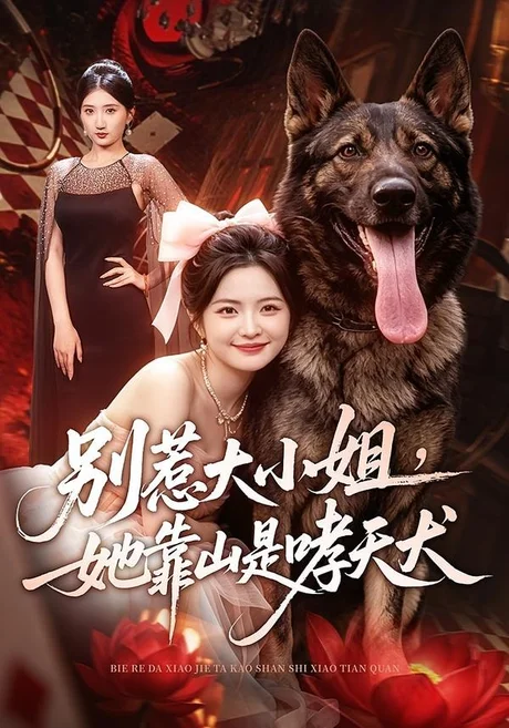 《别惹大小姐,她靠山是哮天犬(86集)常珂欣&刘继泽(夸克网盘)》短剧封面