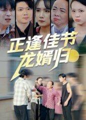 正逢佳节龙婿归封面图 - 家庭短剧