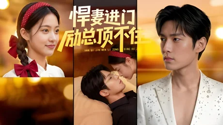 《悍妻进门励总顶不住1080P(55集)企鹅独播(百度网盘)》短剧封面