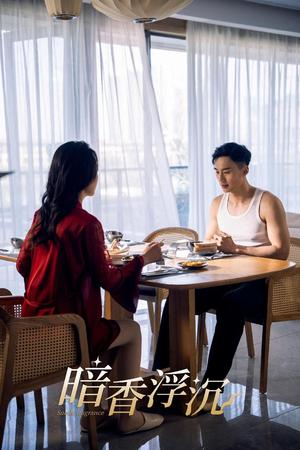 暗香浮沉（51集）喻浩洋&孙梦蝶（夸克网盘）封面