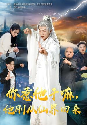 你惹他干嘛，他刚从仙界回来（80集）王小橙&李乾锋（夸克网盘）封面图 - 短剧短剧
