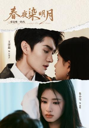 春夜染明月（48集）王译磊＆朱小雪（夸克网盘）封面图 - 短剧短剧