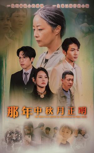 她似星辰陨落（90集）（夸克网盘）封面图 - 短剧短剧