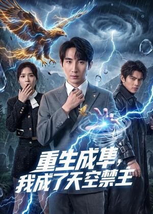重生成隼，我成了天空禁主（68集）刘飞＆思雨（夸克网盘）封面