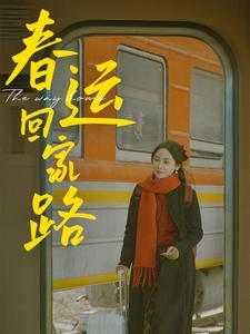 春运回家路（32集）（夸克网盘）封面图 - 现实短剧