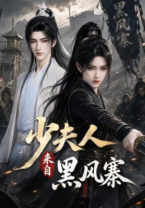 《少夫人来自黑风寨（41集）（夸克网盘）》短剧封面