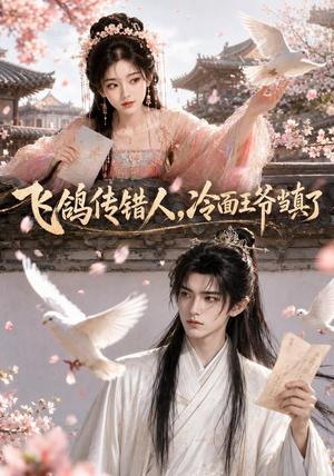 飞鸽传错人，冷面王爷当真了（33集）（夸克网盘）封面
