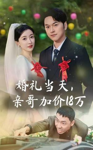 婚礼当天，亲哥加价18万（36集）（夸克网盘）封面图 - 家庭伦理短剧