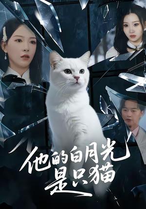 他的白月光是只猫(69集)陈家豪&葛晓希(夸克网盘) 他的白月光是只猫(69集)陈家豪&葛晓希(夸克网盘)封面