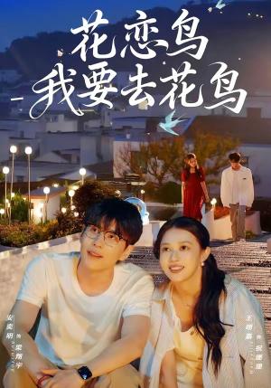 花恋鸟我要去花鸟（60集）安奕明＆王翊嘉（夸克网盘）封面图 - 短剧短剧