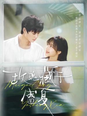 玫瑰藏于盛夏（88集）柯淳＆侯呈玥（夸克网盘）封面图 - 爱情短剧