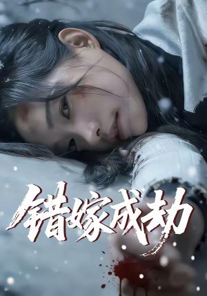 错嫁成劫(60集)王向志&洪佳宁(夸克网盘) 错嫁成劫(60集)王向志&洪佳宁(夸克网盘)封面
