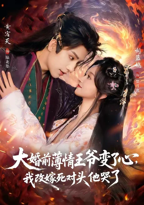 《大婚前薄情王爷变了心,我改嫁死对头他哭了&揽风华(92集)刘蓝鸽&黄宥天(百度网盘)》短剧封面