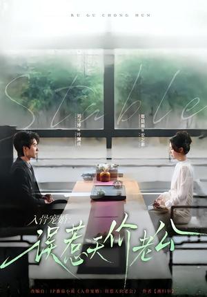 入骨宠婚：误惹天价老公（79集）刘兰博＆郑晨雨（夸克网盘）封面图 - 都市短剧