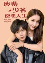 废柴少爷的逆袭人生封面图 - 逆袭短剧