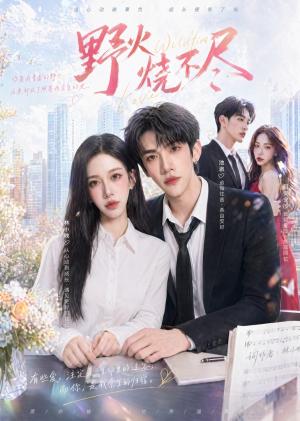 野火烧不尽(40集)(夸克网盘) 野火烧不尽(40集)(夸克网盘)封面
