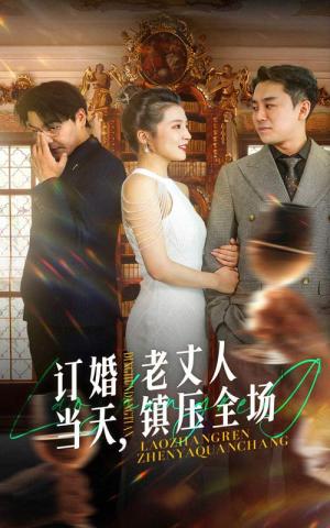 订婚当天，老丈人镇压全场（29集）（夸克网盘）封面图 - 短剧短剧