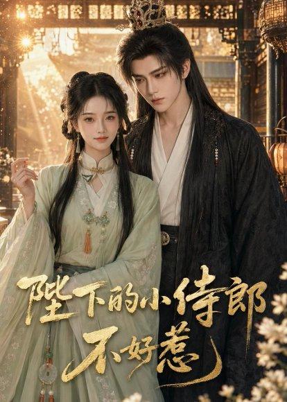 陛下的小侍郎不好惹（49集）（百度网盘）封面图 - 古装短剧