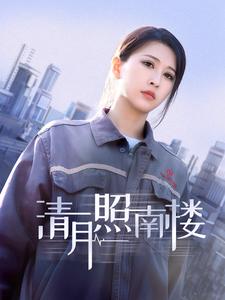 清月照南楼（35集）（夸克网盘）封面图 - 短剧短剧