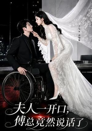 夫人一开口，傅总竟然说话了（60集）（夸克网盘）封面