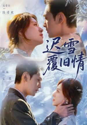 迟雪覆旧情（62集）高曼尔&周航（夸克网盘）封面图 - 短剧短剧