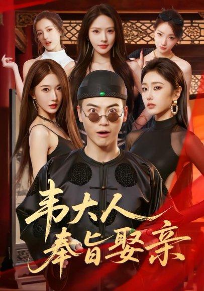 韦大人奉旨娶亲（81集）都钊&苏西（百度网盘）封面