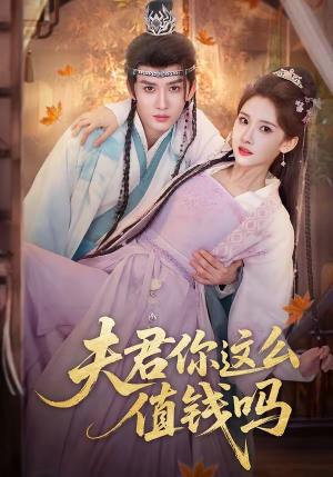 夫君你这么值钱吗（64集）毕宸睿＆宋昭艺（夸克网盘）封面图 - 短剧短剧