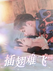 插翅难飞（30集）林永炬＆王一婷（夸克网盘）封面图 - 悬疑短剧