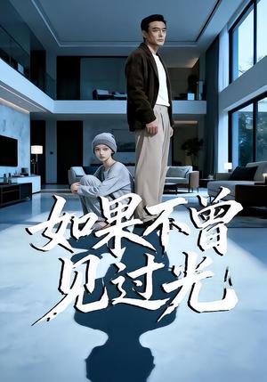 如果不曾见过光（25集）Ai短剧（夸克网盘）封面
