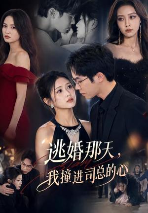 逃婚那天，我撞进司总的心（61集）余容＆张予晴（夸克网盘）封面