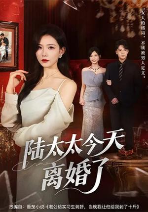 陆太太今天离婚了(59集)刘灿&丁敬一(夸克网盘) 陆太太今天离婚了(59集)刘灿&丁敬一(夸克网盘)封面