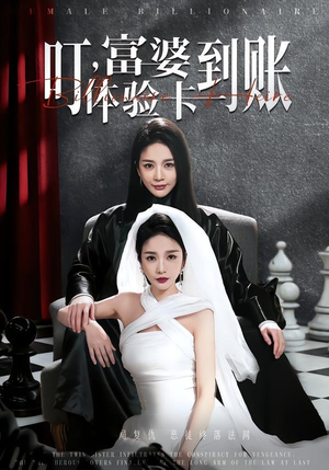 叮，富婆体验卡到账（61集）聂文华＆王小橙（夸克网盘）封面