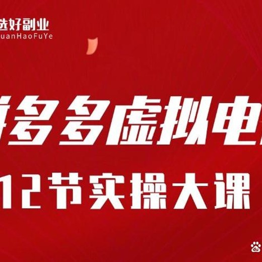 拼多多全域虚拟电商从零到1实操课封面