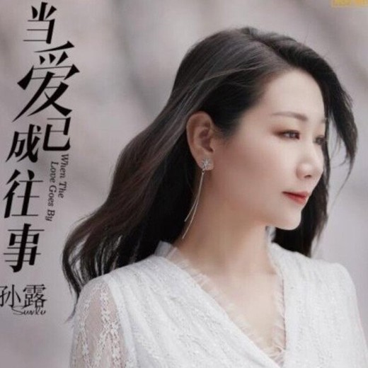 孙露10年经典348首无损hifi合集带目录HIRes+wav（18GB）封面