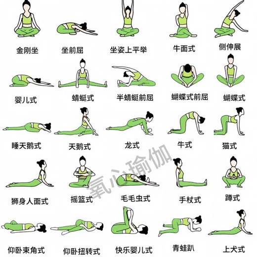 瑜伽从初级到高级(100课)封面