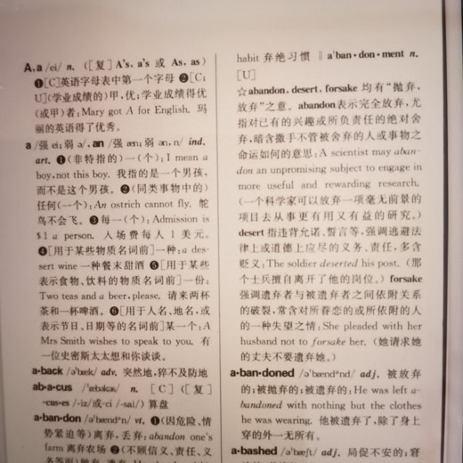 1000页图画版英语词典封面