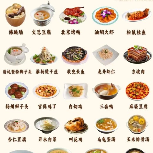 国宴大师教做菜(120道菜合集)封面