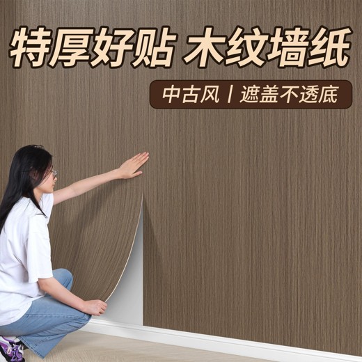 200种高清木纹布料砖墙纸板纹理贴图设计素材 200种高清木纹布料砖墙纸板纹理贴图设计素材封面