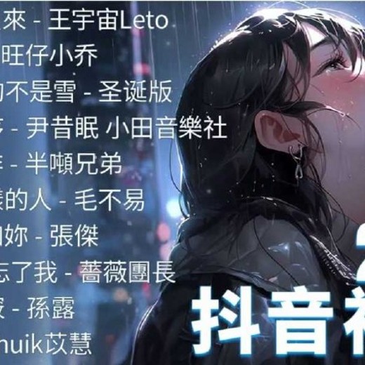 歌单抖音2024最火热歌精选280首[FLAC][7.9G]封面