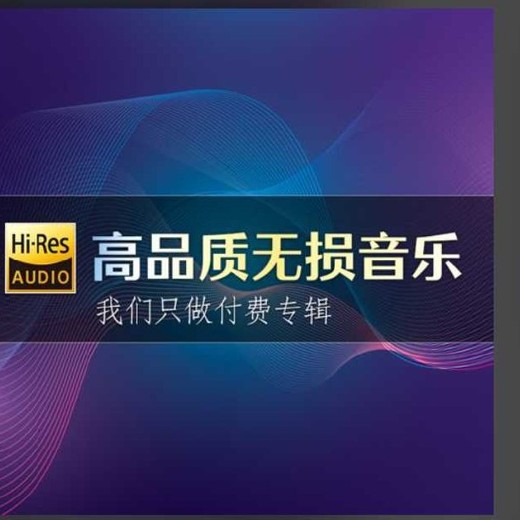 2025车载必备326首抖音DJ嗨曲精选合集[WAV/MP3][11.7G]封面