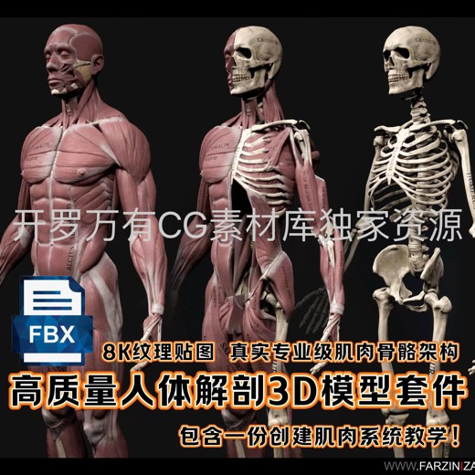 24种疼痛康复训练营视频课封面