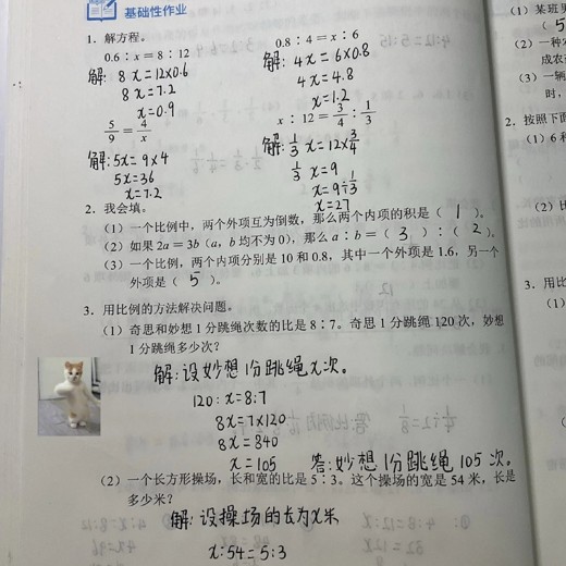 25版小学数学一本小学知识大盘点封面
