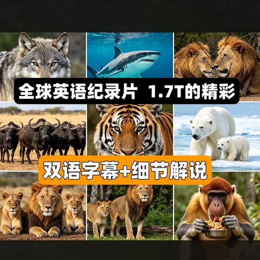 英语语法全程课(全集50讲)封面