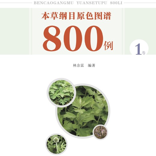 本草纲目原色图谱800例封面