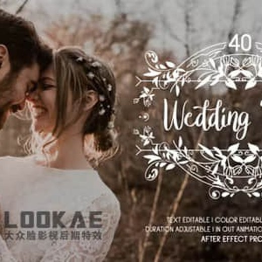 AE预设-500种浪漫婚礼爱情文字标题转场调色藤蔓花纹光效粒子动画 AE预设-500种浪漫婚礼爱情文字标题转场调色藤蔓花纹光效粒子动画封面