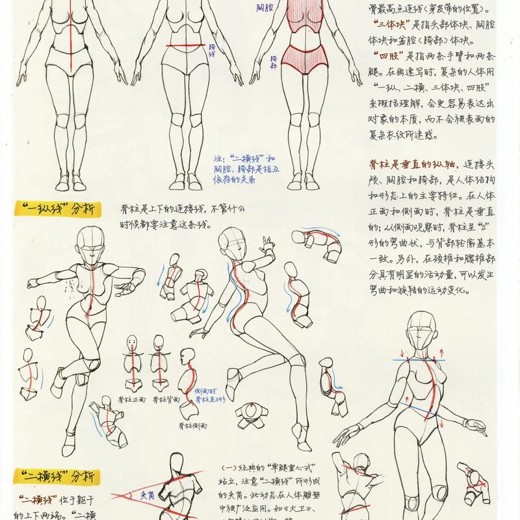 B站-抖抖村：从负基础到不打稿自由速写封面